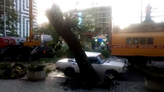 Живая Кубань смотреть онлайн