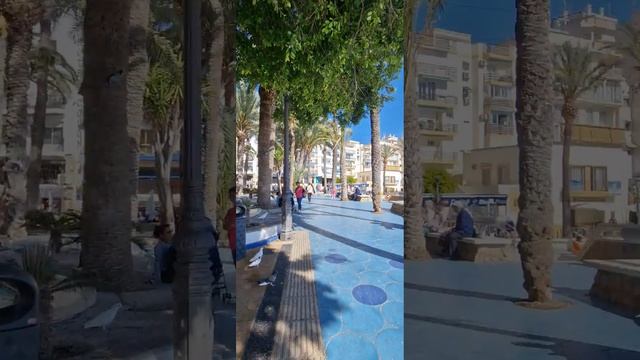 Spain, Benidorm, Elche Park, March - May 2023/ Испания, Бенидорм, Парк Эльче, март- май 2023г смотреть онлайн