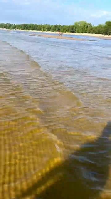 Сестрорецк. Лето. Отдых смотреть онлайн