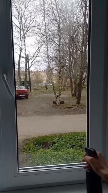 С Миру по Нотке