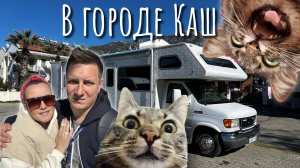 На Автодоме в Турцию. Город Каш  или кошачье царство.