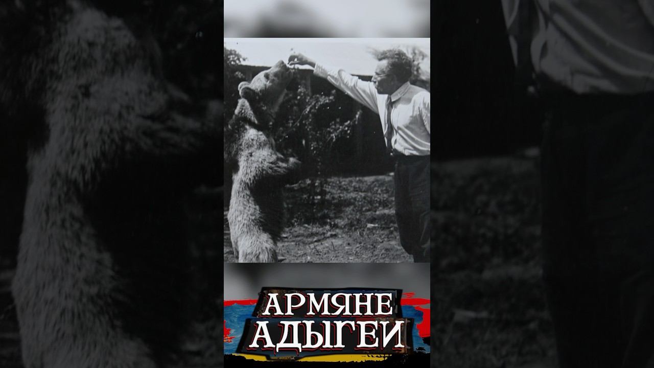 Противники заповедника смотреть онлайн