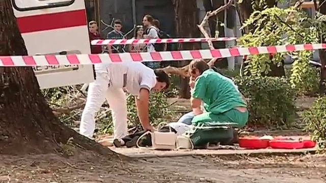 В Днепре дерево убило девушку смотреть онлайн
