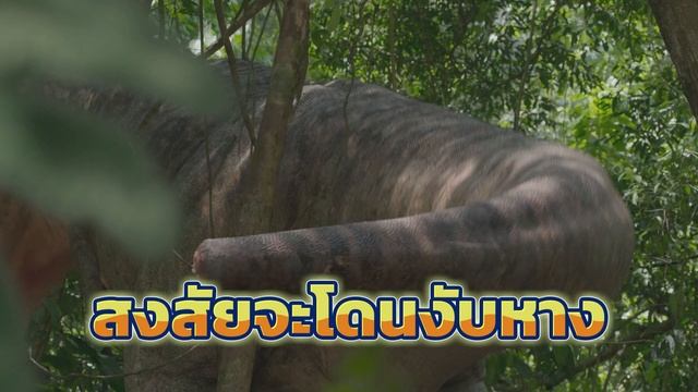 สรุปเนื้อหา THE PREHISTORIC PLANET EP.3 ไดโนไครัส เควทซัลโคแอทลัส เวโลซิแรปเตอร์กับแหล่งน้ำธรรมชาติ смотреть онлайн
