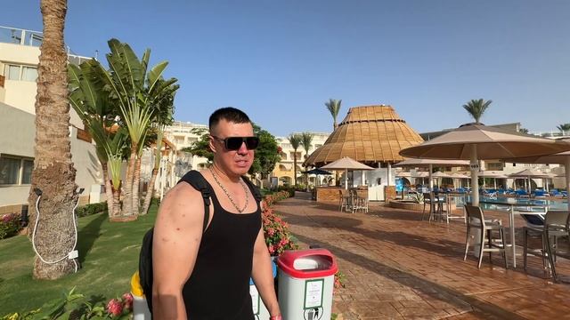 #Pickalbatros Royal Grand Sharm 2024 год обзор