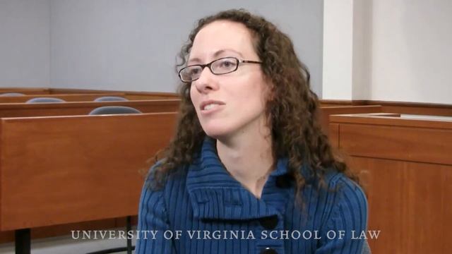 The International Human Rights Clinic at UVA Law смотреть онлайн