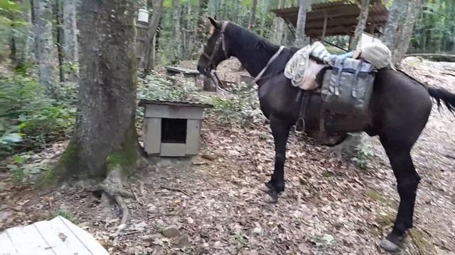 12 сентября 2021 г. смотреть онлайн