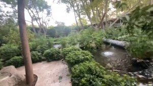 Територия отеля mirada del mar. турция кемер