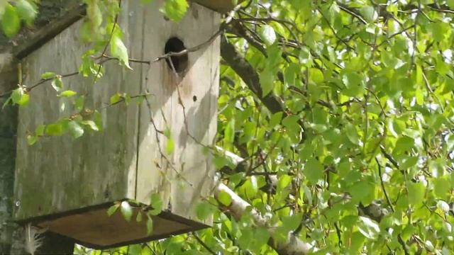 Весна в Пярну смотреть онлайн