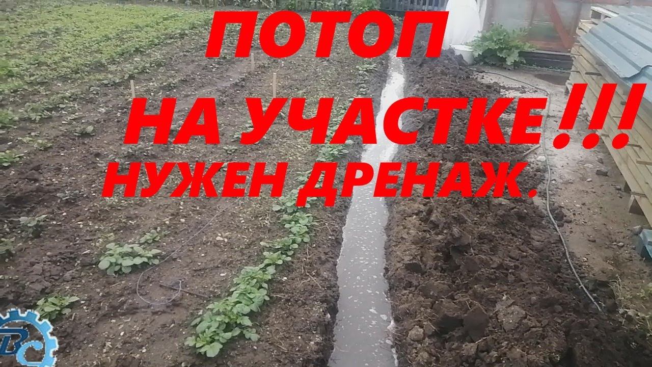 Потоп на участке. Нужен дренаж на участке #дождь #дренаж #колодец #грунтоваявода #чтоделать? смотреть онлайн