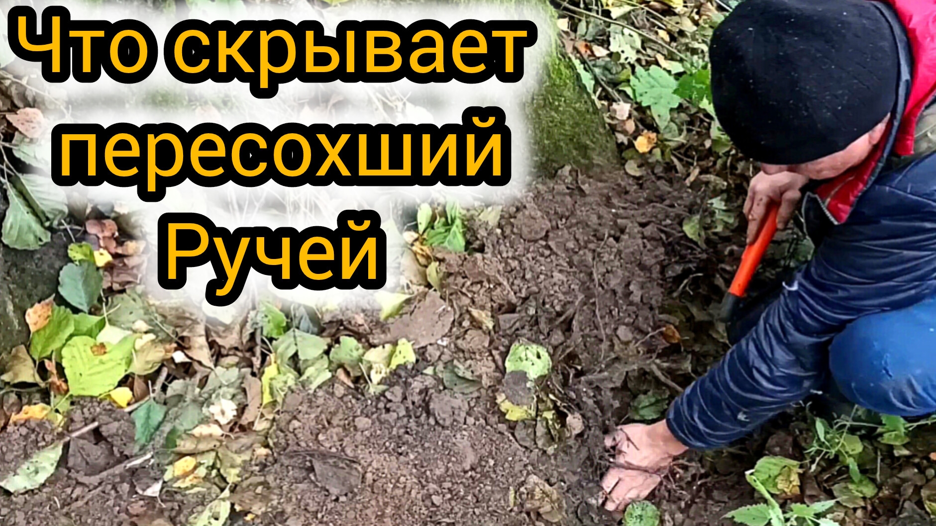 Уникальная находка: по следам прошлого на старом урочище смотреть онлайн