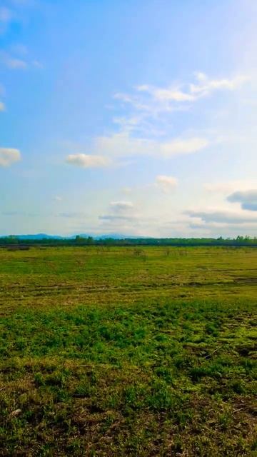 Поля,природа,Приморский край, Кневичи смотреть онлайн