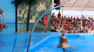 Открытие Феодосийского дельфинария