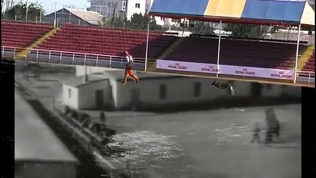 CACIT ИПО-3 Борисполь 2012 смотреть онлайн