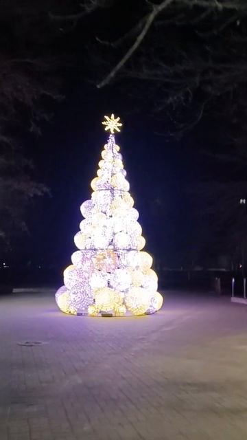 Пруд и елка в парке возле кафе Елки-Палки смотреть онлайн