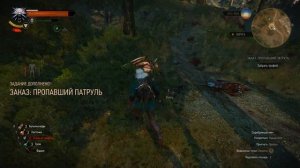 Билд мечника Ведьмак 3 на 12 уровень