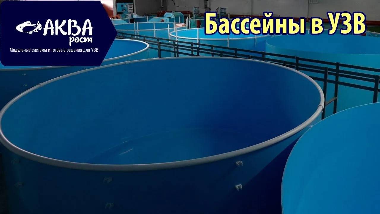 Какие делать бассейны в УЗВ #система #узв #рыба #акварост #форель #бассейн