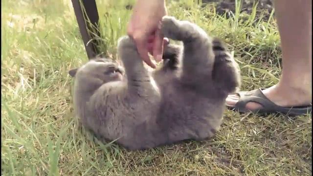 2014.05.17 Дача смотреть онлайн