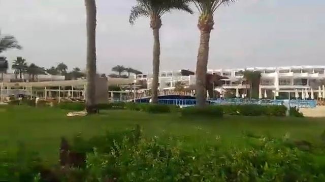 Видеоотзыв туристов (Египет-2017)Счастливое путешествие.Monte Carlo Sharm Resort & Spa 5* смотреть онлайн