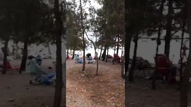 Абхазия пляж Лдзаа - лучший пляж в Пицунде смотреть онлайн
