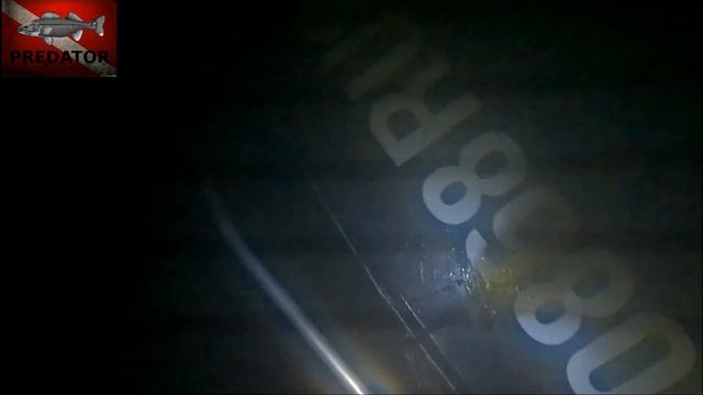 Зимняя подводная охота 2021 смотреть онлайн