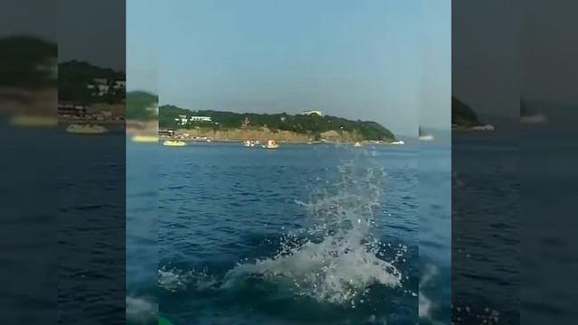 Поездка в город Краснодар смотреть онлайн