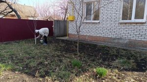 Пора возвращаться домой. Собираемся уезжать из Белгорода поэтому в ускоренном темпе наводим порядки