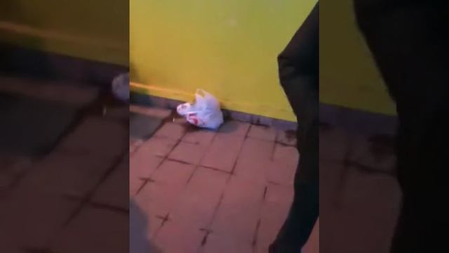 АнТоХа и ДиМаРиК смотреть онлайн