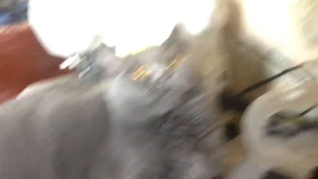 Feb 28, 2014 смотреть онлайн