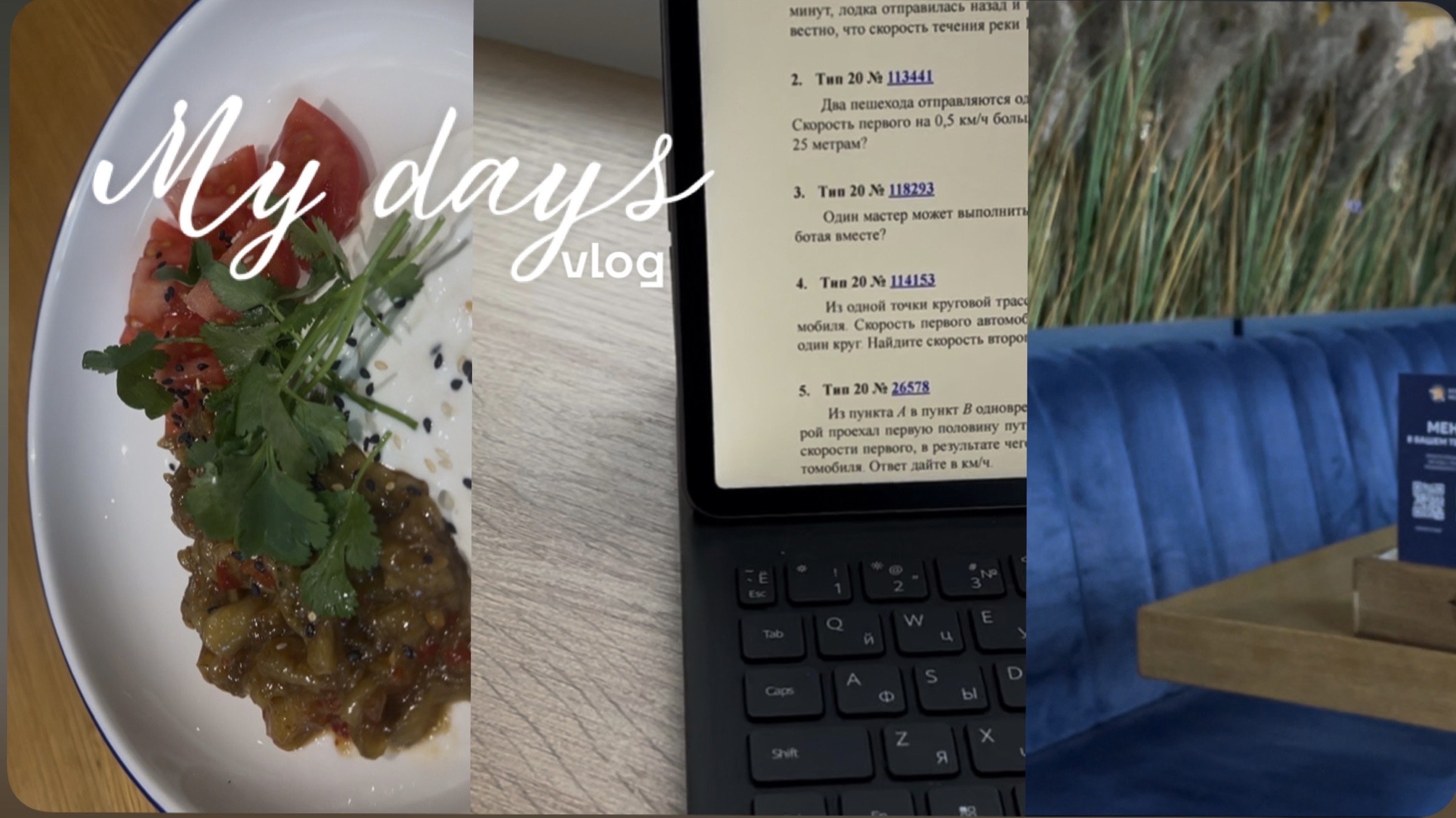 My Days/ Study Vlog✨