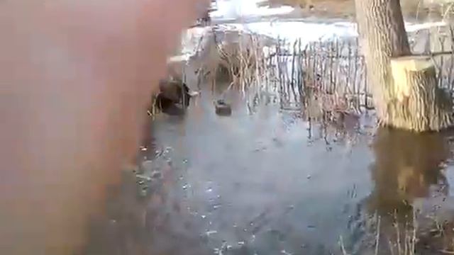 Как нас топит в Марте,где службы МЧС,УЖАС смотреть онлайн