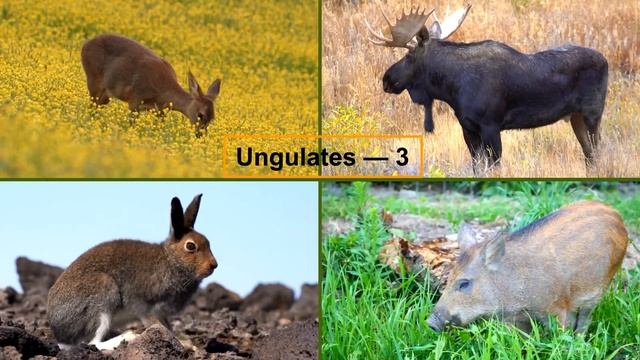 Зюраткуль смотреть онлайн