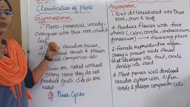 Classification of Plants| Class 7 Science Term 2 Unit 5 @deepikasciencecorner смотреть онлайн