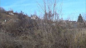 Прогулка по Курскому краю