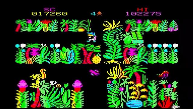 [Amstrad CPC] Sabre Wulf - Longplay