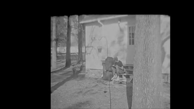 CCD-November 4-6 ,2021-FOF - Bolex P-1 смотреть онлайн