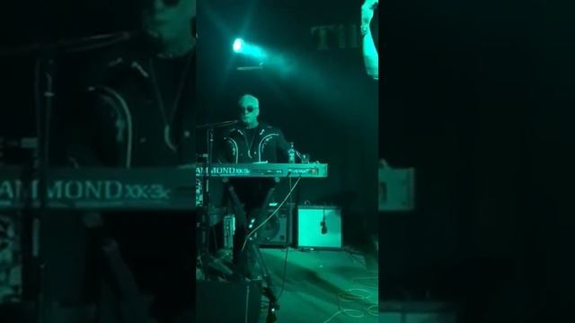 Five South's "Dirty", Part 2, Tiki Bar Costa Mesa 2/23/19 смотреть онлайн