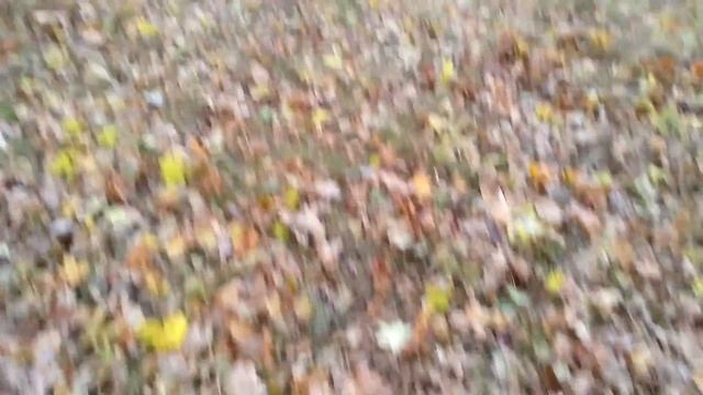 Zombie Apocalypse Guide №8 - Осенний поход смотреть онлайн