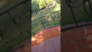 Езда по городу на BMX