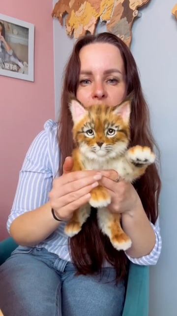 Рысенок из искусственного меха 🩷