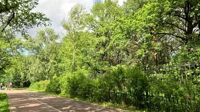 Официант от безысходности взял дочку в ресторан... А едва жених упал замертво, малышка всех удивила смотреть онлайн