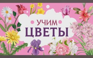 Изучаем Цветы. Карточки Домана для детей. Глобальное чтение. Учимся говорить.