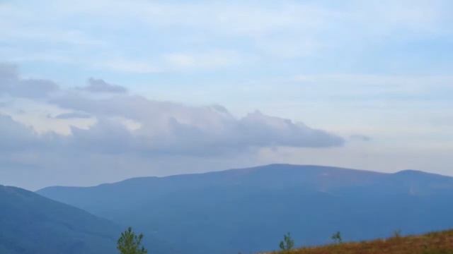 Семейное) смотреть онлайн