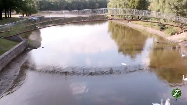 Форест Парк с высоты птичьего полета смотреть онлайн