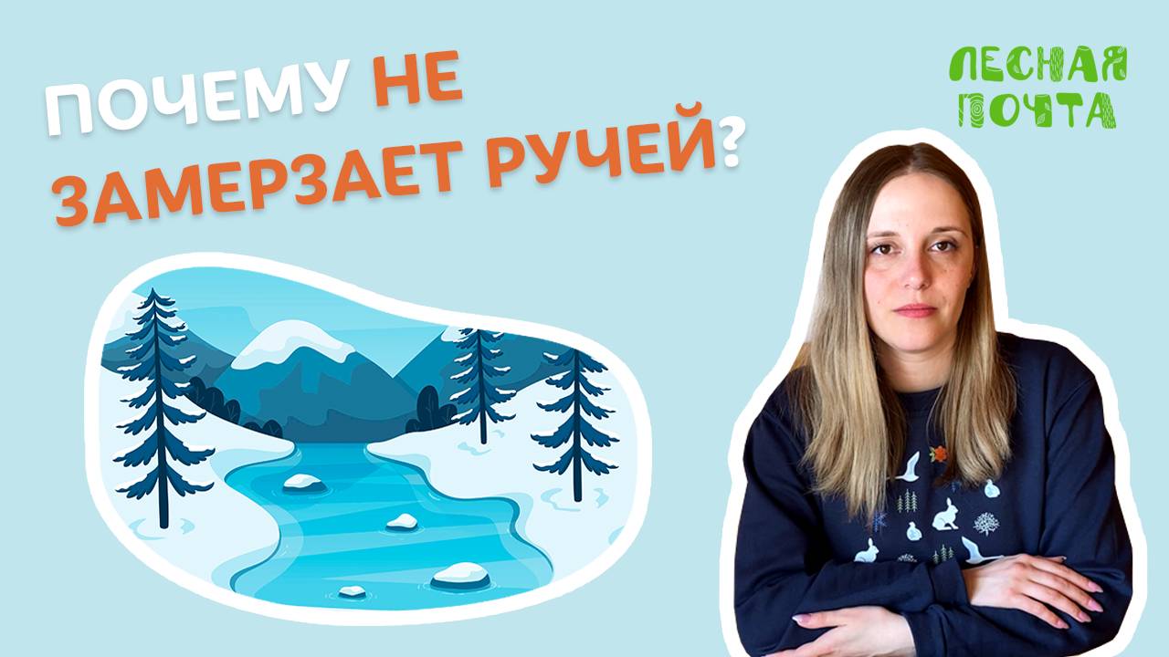 Почему не замерзает ручей в сильный мороз? Лесная почта Лапландского заповедника смотреть онлайн