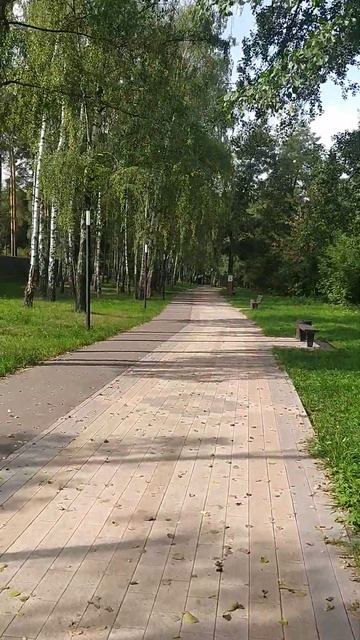 Озеро.Москва.Парк.Зона отдыха👍 смотреть онлайн