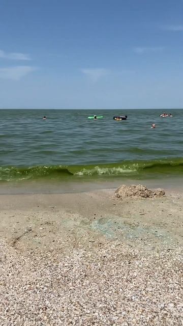 ЕЙСК. 05 ИЮЛЯ #2024 #море #жизньнаморе #пляж #азовскоеморе #beach #лето #ейск #отдых #отпуск2024 смотреть онлайн