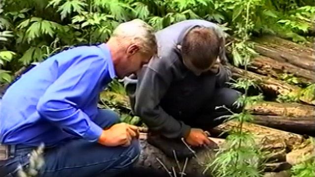 Дороги, которые мы выбираем -2