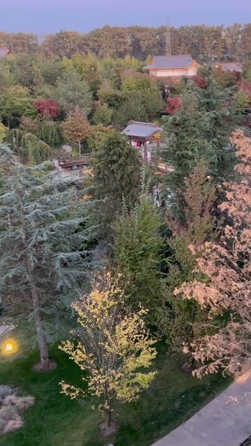 ОБРАЗЕЦ БЛАГОУСТРОЙСТВА ДЛЯ ВСЕХ! смотреть онлайн