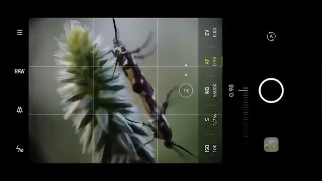 Увеличительная линза для смартфона. смотреть онлайн